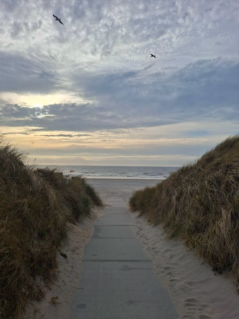 Een pad tussen twee met helmgras begroeide duinen, dat uitkomt op het strand en de zee. Boven de duinen een lucht vol wolken, met twee meeuwen erin.